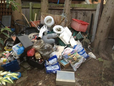 Professional waste management services in action