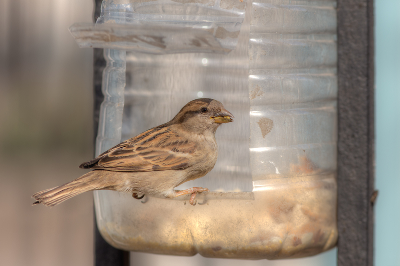 Top Tips for Eco-Friendly Disposal of Pots and Pans